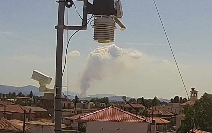 Πυρκαγιά σε δασική έκταση στο Ακραίφνιο Βοιωτίας